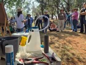 embrapa evento mulheres pecuaria