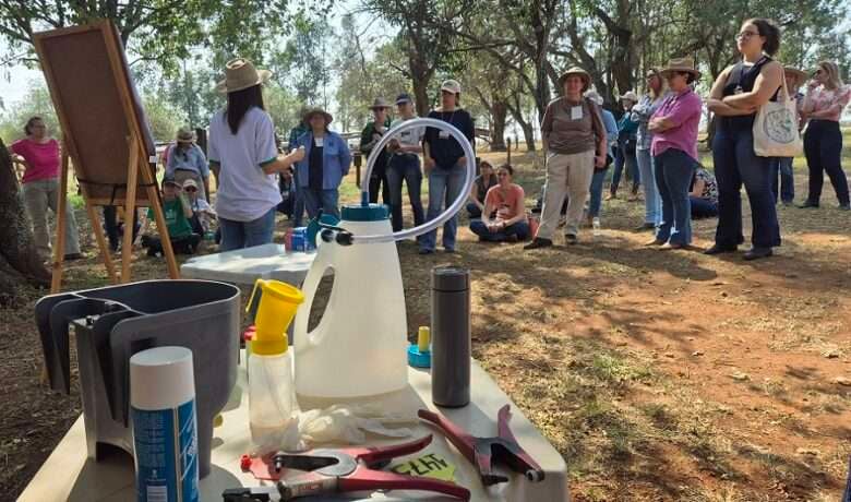 embrapa evento mulheres pecuaria