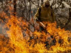 Brasília (DF), 24/08/2024 - Brigadistas do Instituto Brasília Ambiental e Bombeiros do Distrito Federal combatem incêndio em área de cerrado próxima ao aeroporto de Brasília. Foto: Marcelo Camargo/Agência Brasil