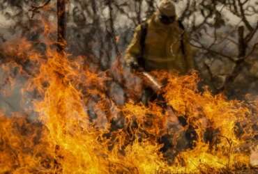 Brasília (DF), 24/08/2024 - Brigadistas do Instituto Brasília Ambiental e Bombeiros do Distrito Federal combatem incêndio em área de cerrado próxima ao aeroporto de Brasília. Foto: Marcelo Camargo/Agência Brasil