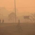 Brasília (DF) 16/09/2024 A capital amanheceu coberta de fumaça causada pelo incêndio no Parque Nacional de Brasília Foto: Fabio Rodrigues-Pozzebom/ Agência Brasil