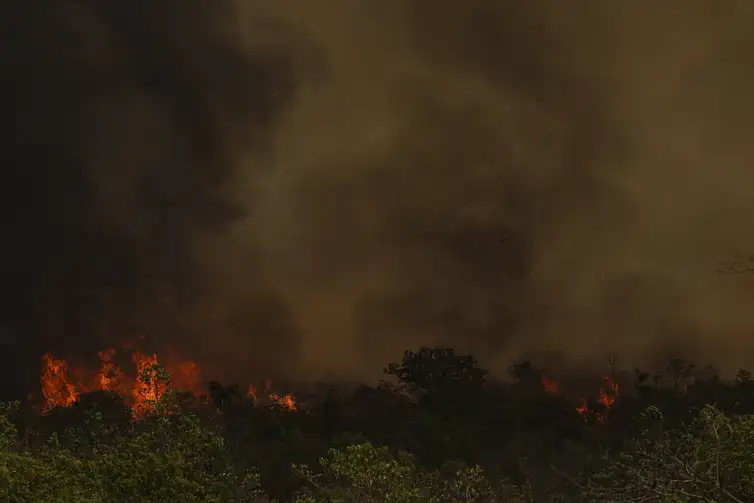 Brasília (DF), 16/09/2024 - Grandes focos de incêndio atingem áreas do Parque Nacional de Brasília. Foto: Marcelo Camargo/Agência Brasil