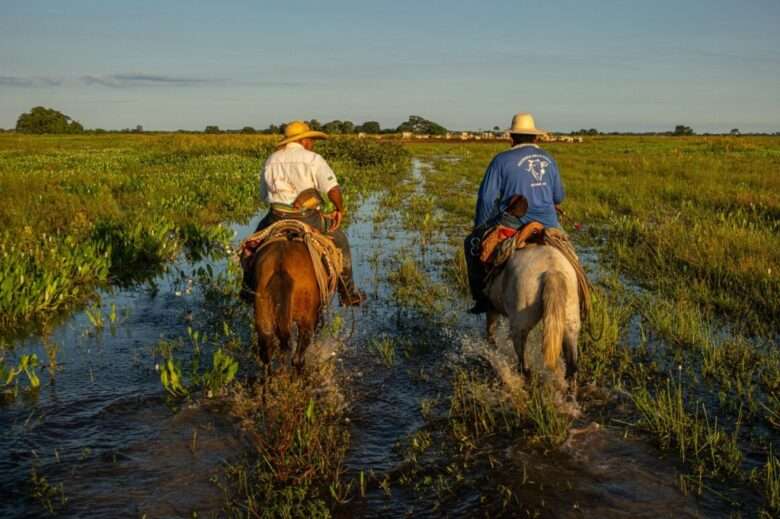 fazenda pantaneira Lucas Ninno