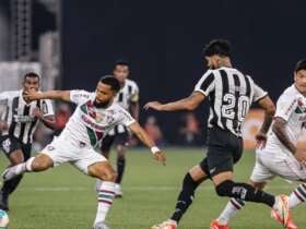 Fluminense, Botafogo, brasileiro Por: Marcelo Goncalves/Fluminense F. C. /Direitos Reservados