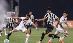 Fluminense, Botafogo, brasileiro Por: Marcelo Goncalves/Fluminense F. C. /Direitos Reservados