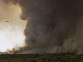 Brasília (DF), 16/09/2024 - Grandes focos de incêndio atingem áreas do Parque Nacional de Brasília. Foto: Marcelo Camargo/Agência Brasil