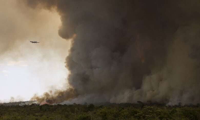 Brasília (DF), 16/09/2024 - Grandes focos de incêndio atingem áreas do Parque Nacional de Brasília. Foto: Marcelo Camargo/Agência Brasil