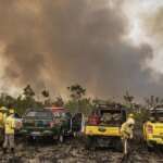 Brasília (DF) 12/09/2024 - Brigadistas do Prevfogo/Ibama e ICMBio combatem incêndios florestais na Terra Indígena Tenharim/Marmelos, no Amazonas Foto: Mayangdi Inzaulgarat/Ibama