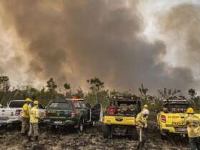 Brasília (DF) 12/09/2024 - Brigadistas do Prevfogo/Ibama e ICMBio combatem incêndios florestais na Terra Indígena Tenharim/Marmelos, no Amazonas Foto: Mayangdi Inzaulgarat/Ibama