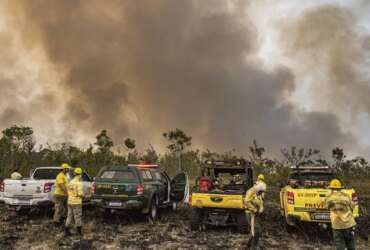 Brasília (DF) 12/09/2024 - Brigadistas do Prevfogo/Ibama e ICMBio combatem incêndios florestais na Terra Indígena Tenharim/Marmelos, no Amazonas Foto: Mayangdi Inzaulgarat/Ibama