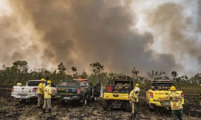 Brasília (DF) 12/09/2024 - Brigadistas do Prevfogo/Ibama e ICMBio combatem incêndios florestais na Terra Indígena Tenharim/Marmelos, no Amazonas Foto: Mayangdi Inzaulgarat/Ibama