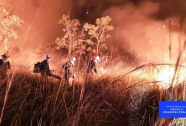 Governo convoca mais 150 bombeiros da Força Nacional para combater incêndios -