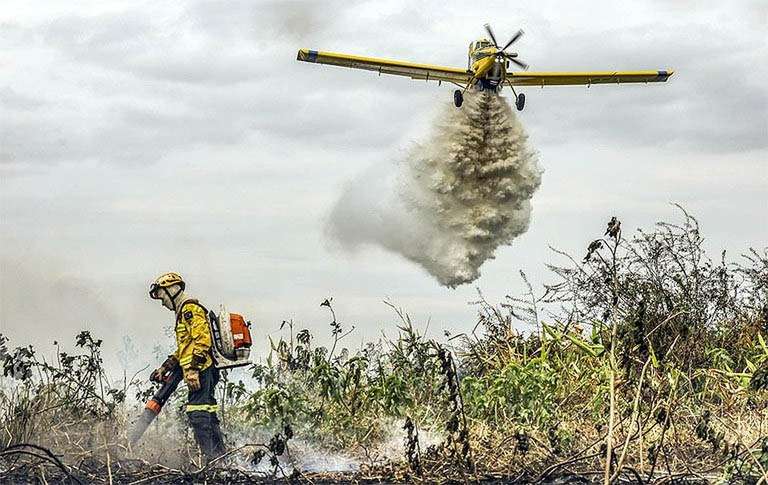 Governo Federal mais que duplica efetivo de forças no combate a incêndios florestais - MMA