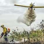 Bombeiros combatem 42 incêndios florestais neste domingo em Mato Grosso