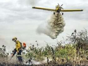 Bombeiros combatem 42 incêndios florestais neste domingo em Mato Grosso