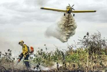 Bombeiros combatem 42 incêndios florestais neste domingo em Mato Grosso