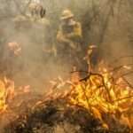 Corpo de Bombeiros de Mato Grosso combate 44 incêndios florestais neste sábado