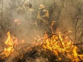 Bombeiros combatem 25 incêndios florestais em Mato Grosso nesta quinta-feira (03)