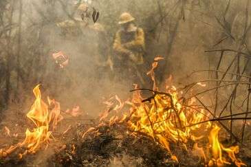 Bombeiros de Mato Grosso combatem 22 incêndios florestais no Estado neste sábado (12)