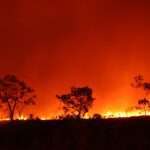 Corpo de Bombeiros combate 21 incêndios florestais em Mato Grosso nesta terça-feira (15)