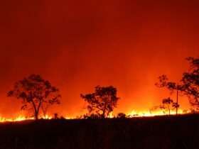 Corpo de Bombeiros combate 21 incêndios florestais em Mato Grosso nesta terça-feira (15)