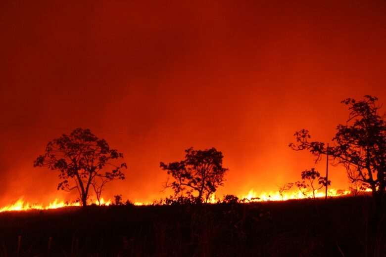 Corpo de Bombeiros combate 21 incêndios florestais em Mato Grosso nesta terça-feira (15)