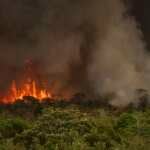 Brasília (DF), 16/09/2024 - Grandes focos de incêndio atingem áreas do Parque Nacional de Brasília. Foto: Marcelo Camargo/Agência Brasil