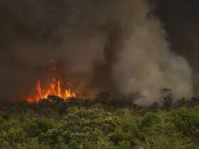 Brasília (DF), 16/09/2024 - Grandes focos de incêndio atingem áreas do Parque Nacional de Brasília. Foto: Marcelo Camargo/Agência Brasil