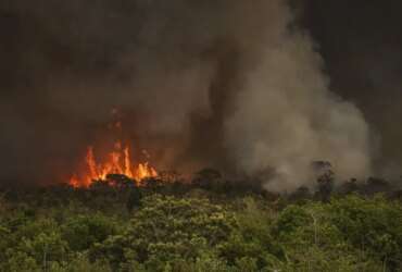 Brasília (DF), 16/09/2024 - Grandes focos de incêndio atingem áreas do Parque Nacional de Brasília. Foto: Marcelo Camargo/Agência Brasil