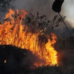 incendios florestais Valter Campanato Agencia Brasil