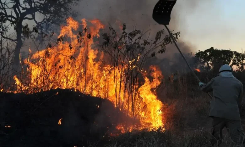 incendios florestais Valter Campanato Agencia Brasil