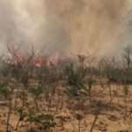 Povos indígenas de Mato Grosso sofrem com os incêndios florestais.