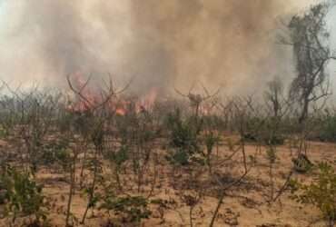 Povos indígenas de Mato Grosso sofrem com os incêndios florestais.