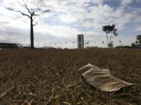 A Defesa Civil declarou estado de alerta no Distrito Federal por causa da baixa umidade do ar que ficou entre 12 e 20% esta semana. Por: Marcelo Camargo/Agência Brasil