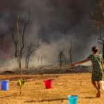 Brasília (DF), 15/09/2024 - Um Incêndio atingiu o Parque Nacional de Brasília. Bombeiros e populares tentavam conter as chamas Foto: Fabio Rodrigues-Pozzebom/Agência Brasil