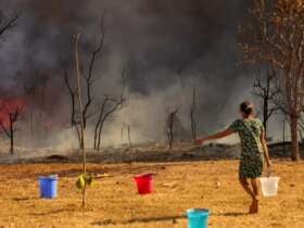 Brasília (DF), 15/09/2024 - Um Incêndio atingiu o Parque Nacional de Brasília. Bombeiros e populares tentavam conter as chamas Foto: Fabio Rodrigues-Pozzebom/Agência Brasil