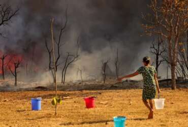 Brasília (DF), 15/09/2024 - Um Incêndio atingiu o Parque Nacional de Brasília. Bombeiros e populares tentavam conter as chamas Foto: Fabio Rodrigues-Pozzebom/Agência Brasil