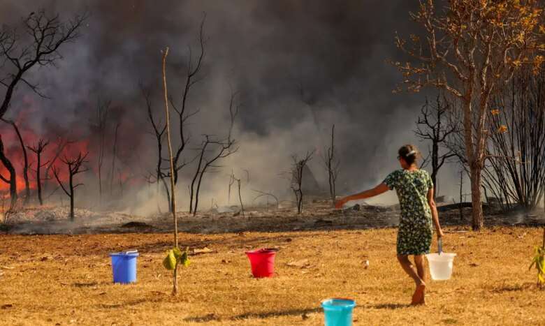 Brasília (DF), 15/09/2024 - Um Incêndio atingiu o Parque Nacional de Brasília. Bombeiros e populares tentavam conter as chamas Foto: Fabio Rodrigues-Pozzebom/Agência Brasil