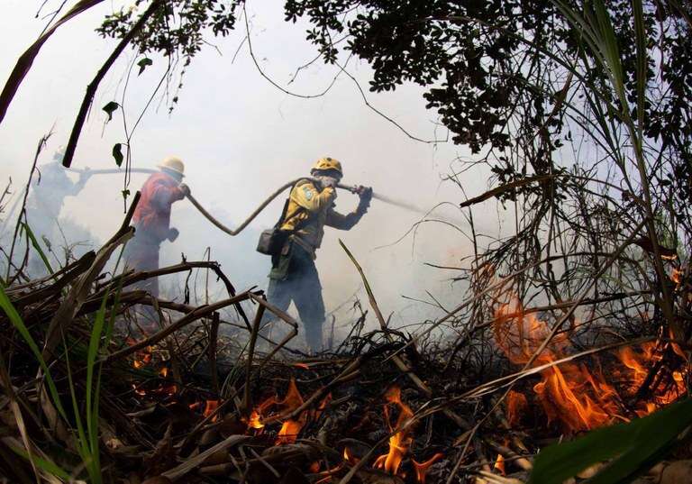 Plano Clima Participativo atinge o marco de mil propostas recebidas - Divulgação