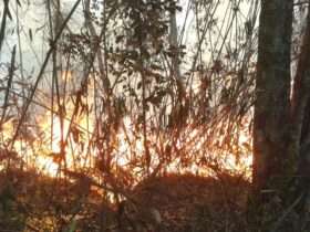 Incêndio no Parque Nacional da Serra dos Órgãos (Divulgação/Parnaso)