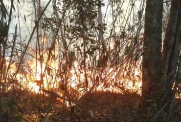 Incêndio no Parque Nacional da Serra dos Órgãos (Divulgação/Parnaso)