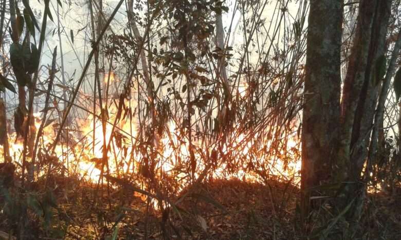 Incêndio no Parque Nacional da Serra dos Órgãos (Divulgação/Parnaso)