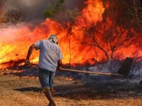 Brasília, DF 15-09-2024 Um Incêndio atingiu o Parque Nacional de Brasília. Bombeiros e populares tentavam conter as chamas Foto: Fabio Rodrigues-Pozzebom/Agência Brasil