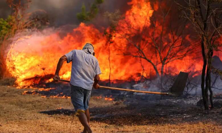 Brasília, DF 15-09-2024 Um Incêndio atingiu o Parque Nacional de Brasília. Bombeiros e populares tentavam conter as chamas Foto: Fabio Rodrigues-Pozzebom/Agência Brasil