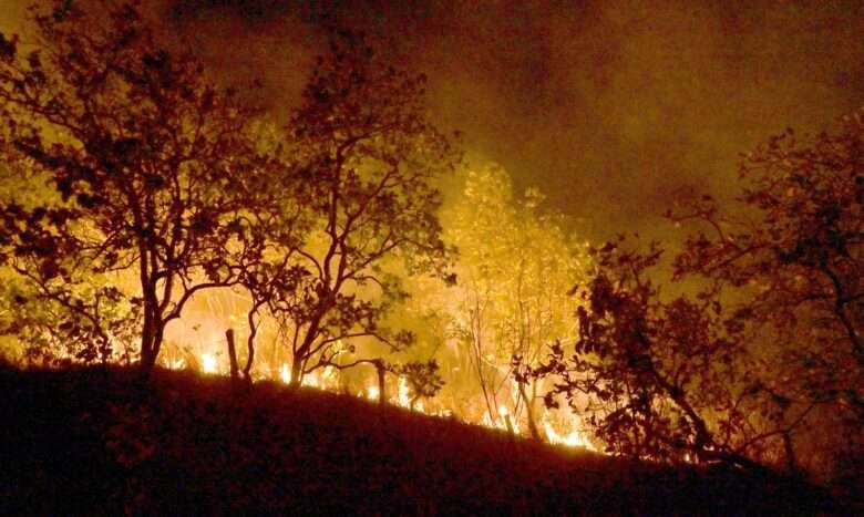 20-02-2024 Queimadas e incêndios em Amajari – Roraima - Foto Jader Souza/AL Roraima