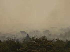 Brasília (DF), 16/09/2024 - Grandes focos de incêndio atingem áreas do Parque Nacional de Brasília. Foto: Marcelo Camargo/Agência Brasil