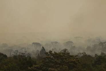 Brasília (DF), 16/09/2024 - Grandes focos de incêndio atingem áreas do Parque Nacional de Brasília. Foto: Marcelo Camargo/Agência Brasil