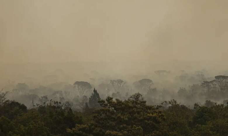 Brasília (DF), 16/09/2024 - Grandes focos de incêndio atingem áreas do Parque Nacional de Brasília. Foto: Marcelo Camargo/Agência Brasil