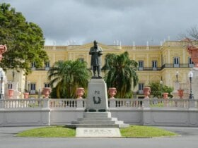 seis anos apos incendio museu nacional faz apelo por doacoes capa 2024 09 02 2024 09 02 965520927