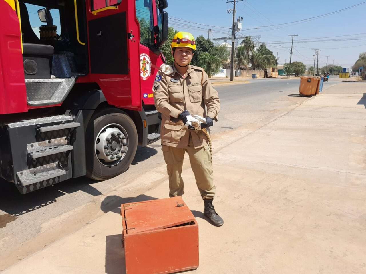 Corpo de Bombeiros de Lucas do Rio Verde realiza resgate de teiú-branco em área residencial